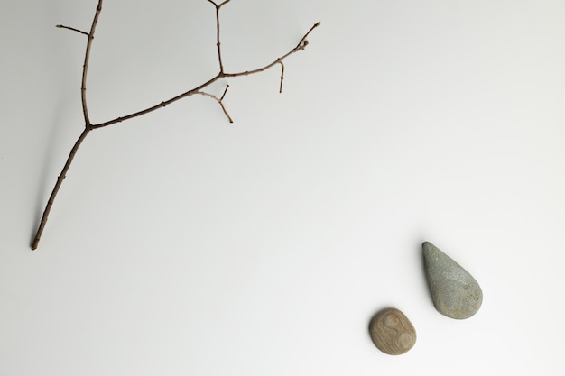 The composition of a dry branch with stones is photographed from above there is a place for an inscription