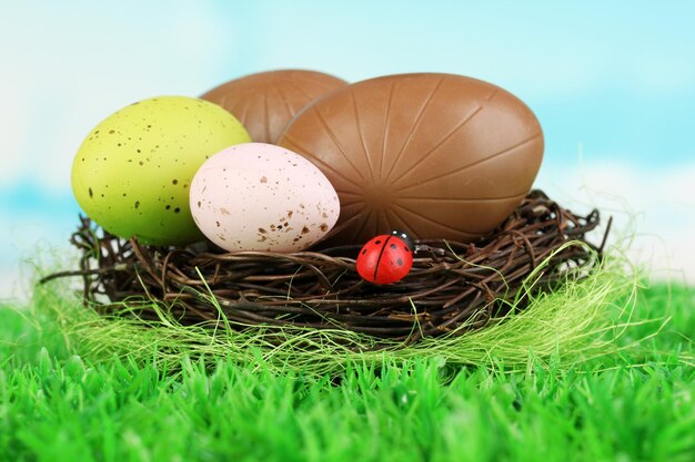 Composition of Easter and chocolate eggs in nest on grass on natural background