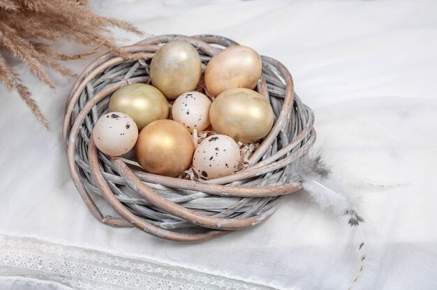 Photo composition of eggs in a nest and feathers on a light background.