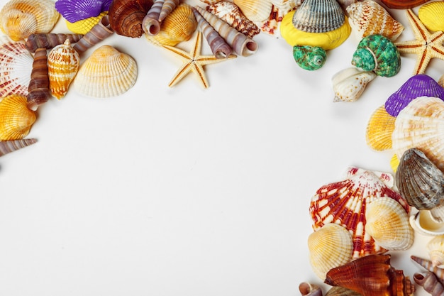 Composition of exotic seashells