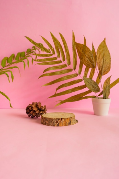 The composition features summer products. round wood on pink background with dried leaves decoration.