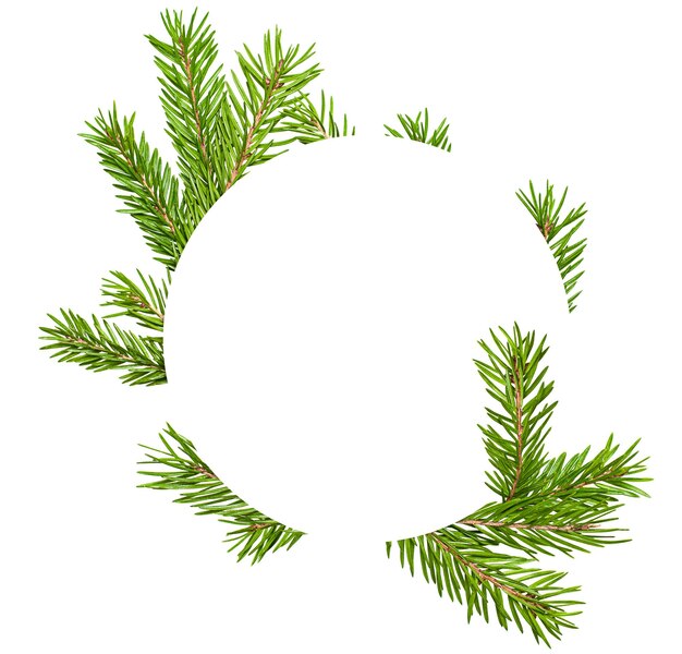 composition of fir branches in the shape of a circle with copy space in the center isolated on a white background