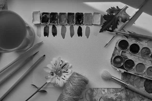 Composition from art materials Watercolor paints Multicolored paintsblack and white photo