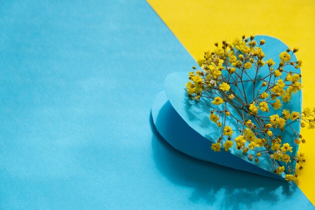 Composition from flowers and colored paper background in yellow blue Ukrainian colors with copy space