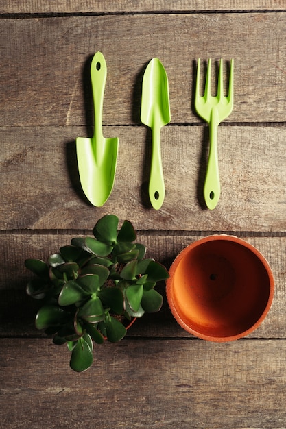 Photo composition of garden tools