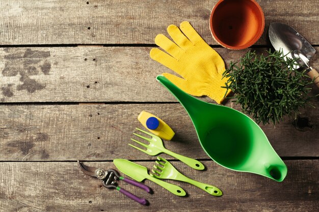 Photo composition of garden tools