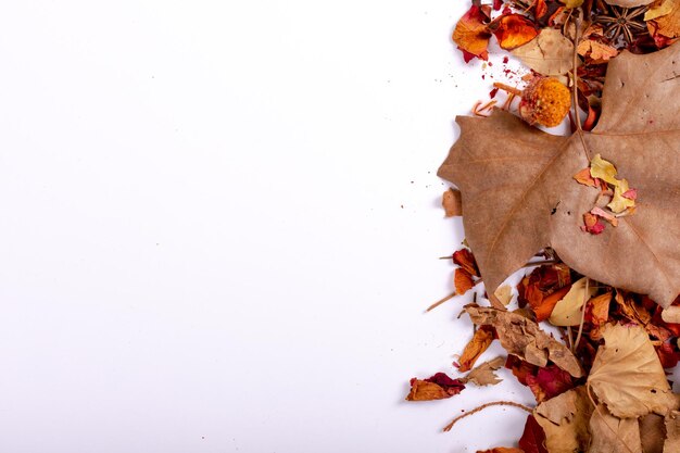 Composition of halloween decoration with dry leaves and seeds with copy space on white background. horror, fright, halloween tradition and celebration concept digitally generated image.