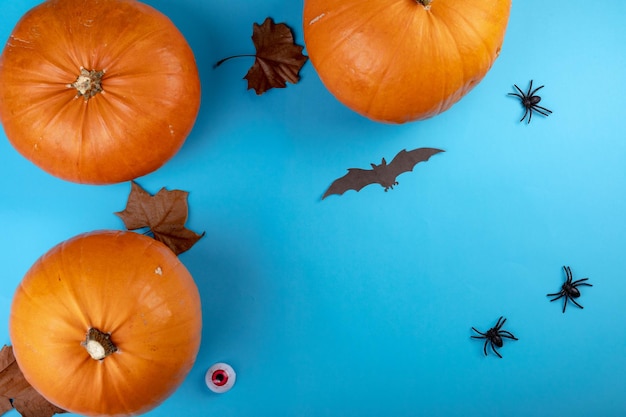 Composition of halloween decoration with pumpkins and bats with copy space on blue background. horror, fright, halloween tradition and celebration concept digitally generated image.