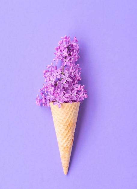 Composition of ice cream cone with purple lilac flowers