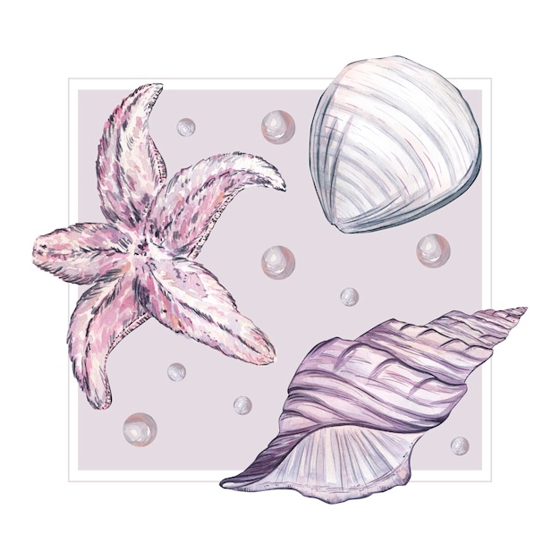 The composition is in a gray square with seashells a starfish and pearls in pink and lilac colors