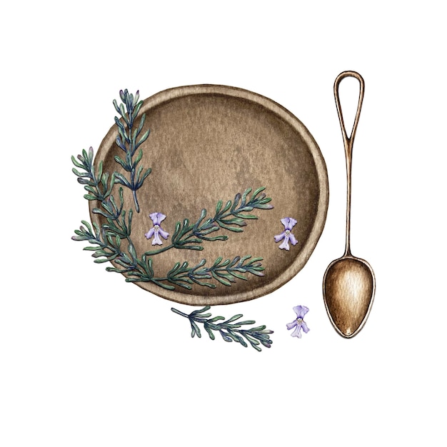 Composition of leaves and branches of rosemary High quality watercolor illustration