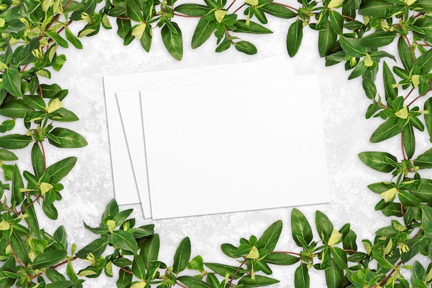 Composition of leaves and white watercolor sheets of paper on gray concrete background tree branches with leaves blank cards nature mockup ecology poster top view flat lay close up copy space