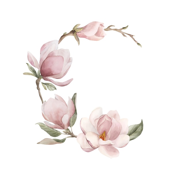 Photo composition of light pink magnolia flowers buds and leaves floral watercolor illustration for label