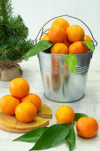 composition of many citrus fruits tangerine bucket and christmas tree