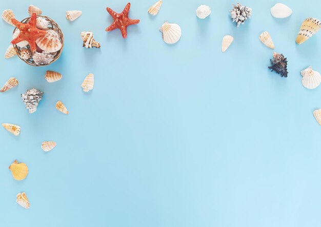 Composition of many white, beige, black exotic seashells different shapes and types and red starfish on a blue background. Summer advertising marine concept. Flat lay, top view, close up, copy space