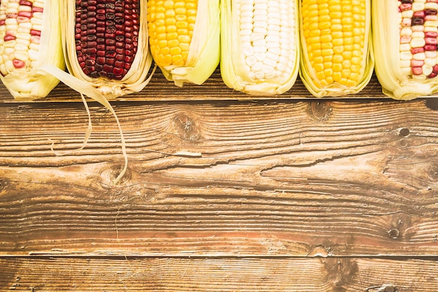 Photo composition of multicolored corn on cob