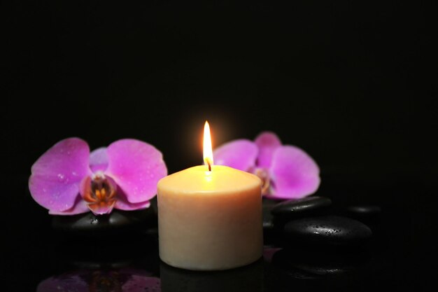 Composition of orchid pebbles and candle on dark background