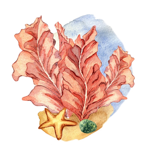 Composition of pink sea plants watercolor illustration isolated on white