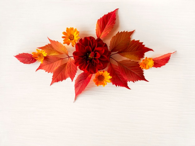 Composition of red autumn leaves and flowers on a white aged background