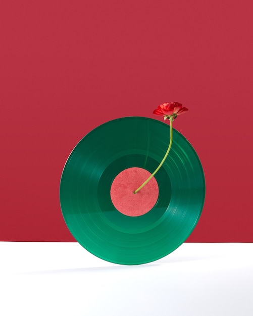 Composition of a red flower decorating a vinyl audio record on a double white red background with copy space