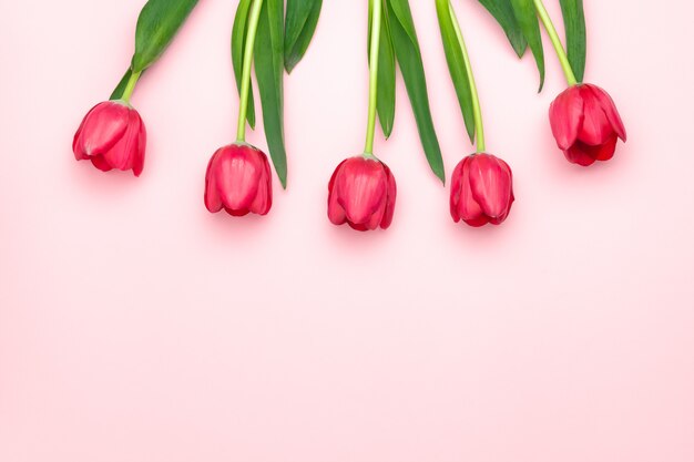 ピンクの背景に赤いチューリップの組成。フラット横たわっていた、トップビュー、コピースペース。女性の日、母の日、春のコンセプト。花飾り