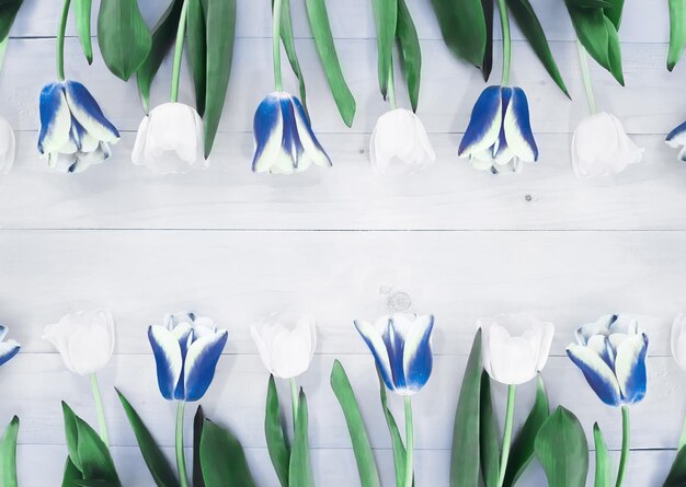 Composition of spring flowers on wooden background. White and blue tulips. Advertising content for Birthday, Valentines Day, Womens day. Flat lay, top view, close up, copy space