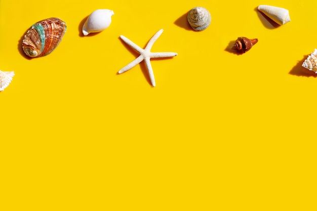 Composition of starfish and exotic seashells on yellow background.