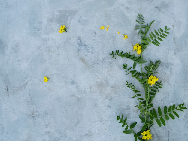 Composition of summer flowers on a gray background. 