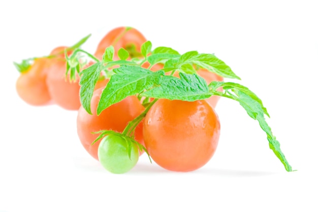 Composition of tomato close up