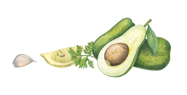 A composition of watercolor illustrations of avocado lemon parsley garlic Handmade work Isolated