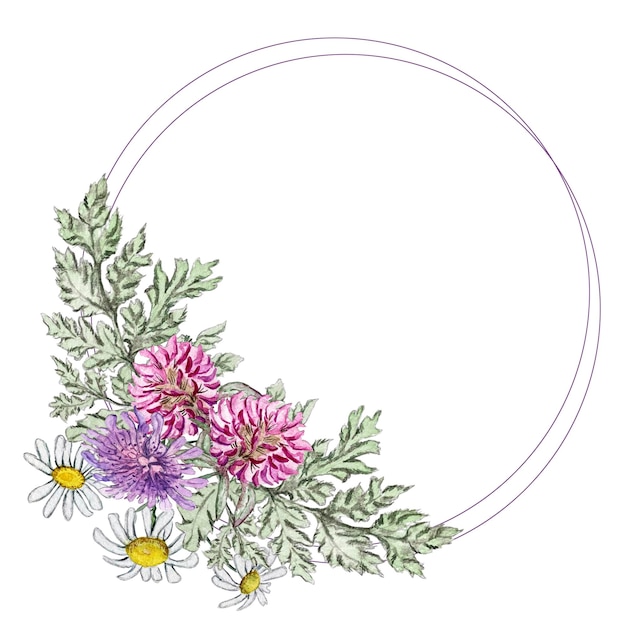 Composition of wildflowers Clower and chamomile Watercolor illustration