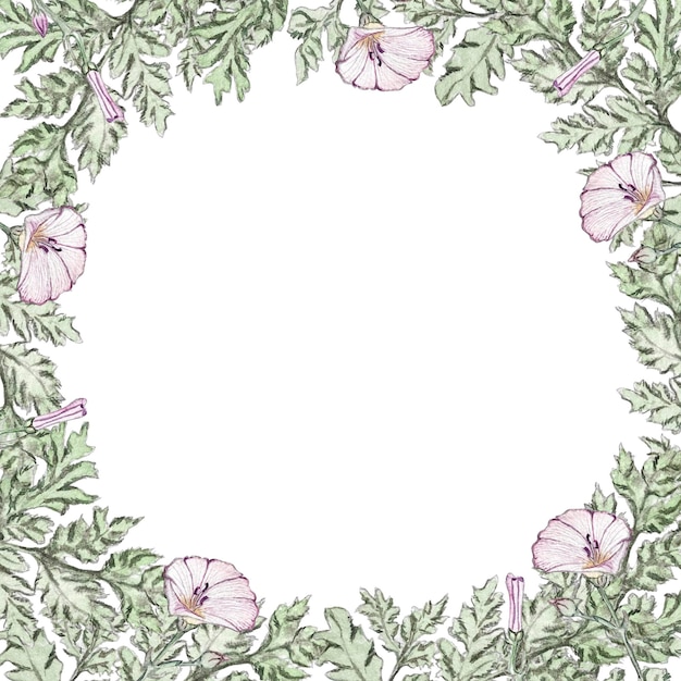 Foto composizione di fiori di campo illustrazione ad acquerello