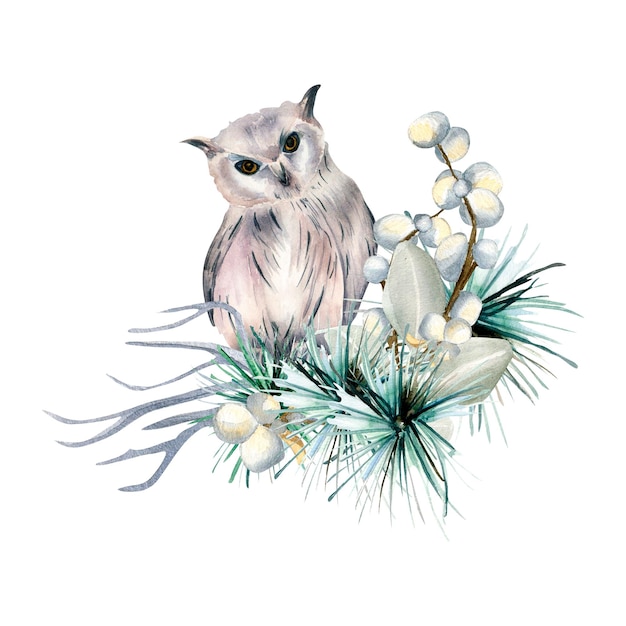 Composition of winter plants and owl watercolor illustration isolated on white