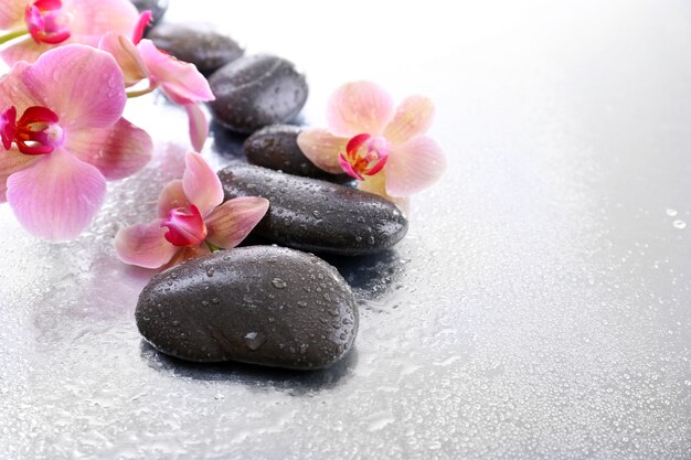 Composition with beautiful blooming orchid with water drops and spa stones, on light background