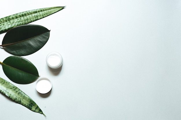 . Composition with body care products, wisp and green leaf on white background, top view,  FLAT LAY.