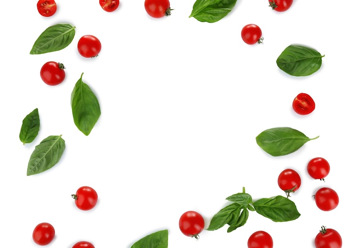 Photo composition with cherry tomatoes and green fresh organic basil isolated on white