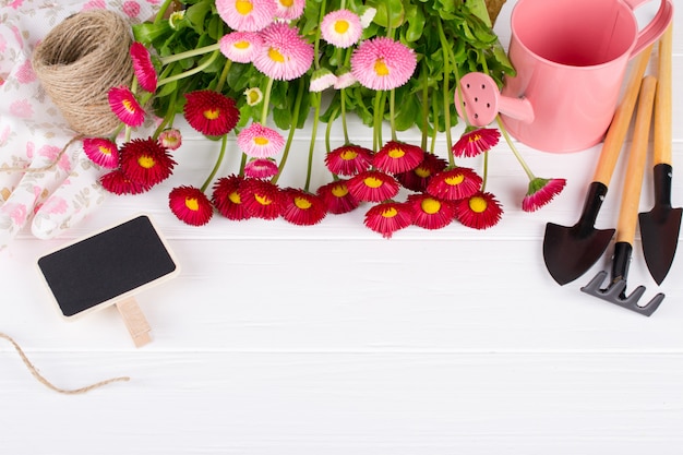 Composition with first daisy flowers  for planting and gardening tools