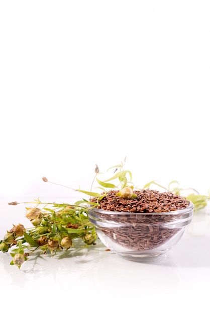 Composition with , flax seeds, and plants on white