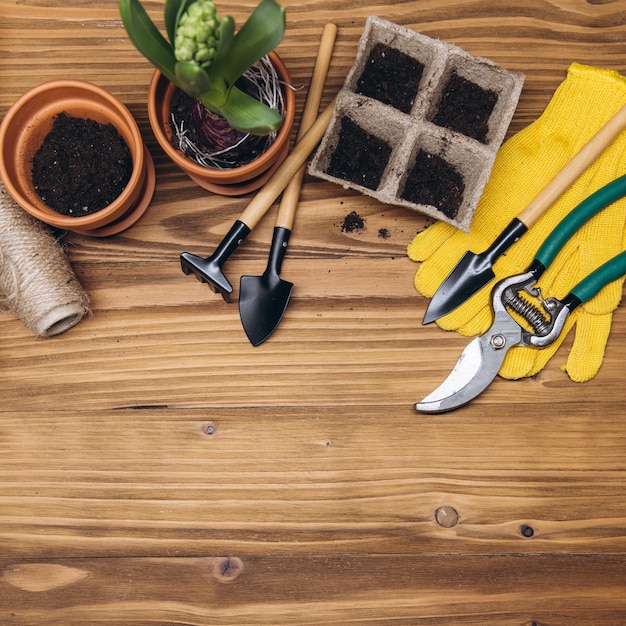 Composition with flowers and gardening tools with space for text on the wooden background