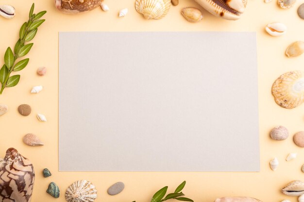 Composition with gray paper sheet seashells pebbles green boxwood mockup on orange background top view copy space