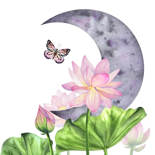 A composition with lotus flowers a crescent moon painted in watercolor