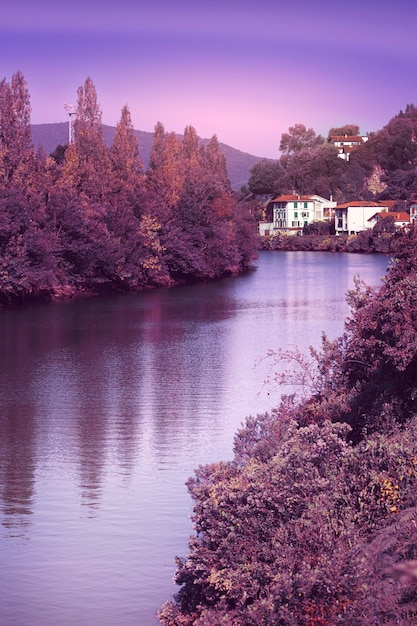 Foto composizione con paesaggio naturale e colori lavanda