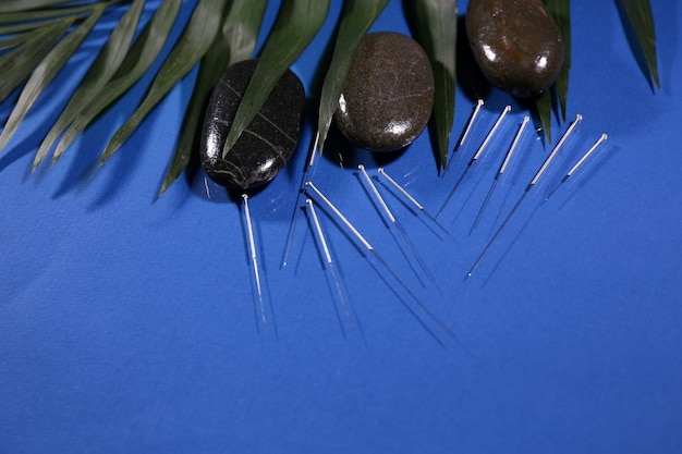 Composition with needles for acupuncture close up