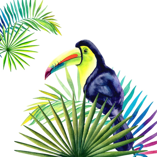 A composition with a rainbow toucan on an isolated background The tropics Monstera palm branch