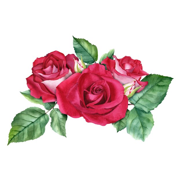 Photo a composition with red luxor roses blooms buds and leaves hand drawn watercolor illustration isolated on white background for cards invitation clip art