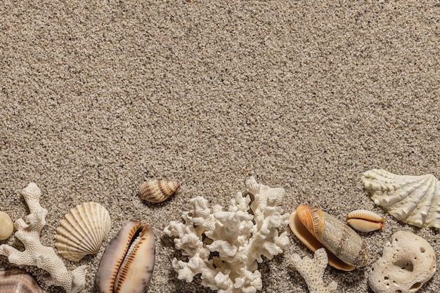 貝殻とビーチの砂のコピースペースとの構成海とレジャーの背景