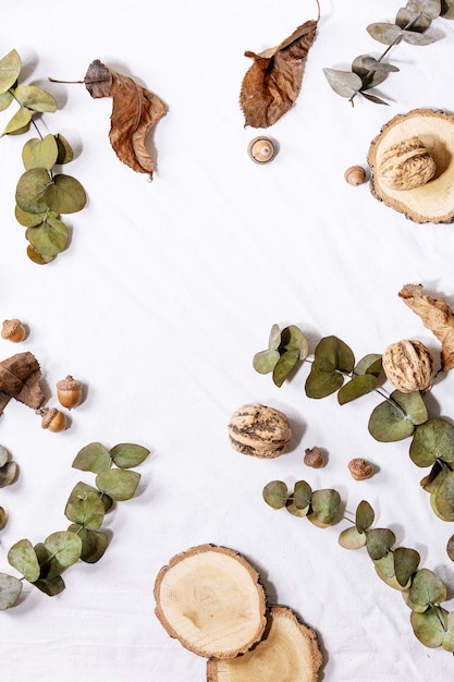 Composition with yellow maple leaves, eucalyptus branches and chestnuts over a white background. Flat lay, copy space