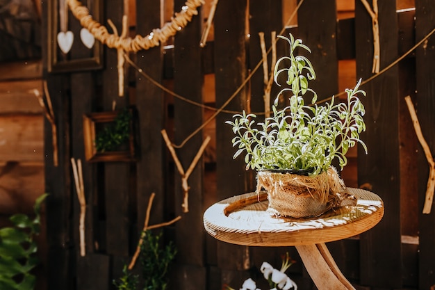 Foto composizione del tavolo da cucina rustico in legno all'aperto con decorazioni di piante, verdure. casa di campagna in estate