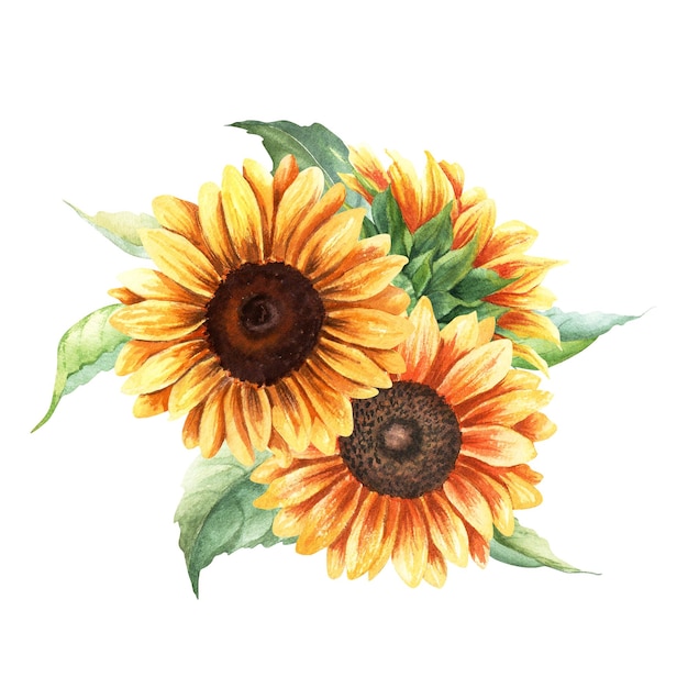 黄色い日<unk>の組成 活気のある大きな毎年恒例の植物 手描きの水彩画