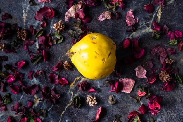 Photo compositions of quinces and petals in study